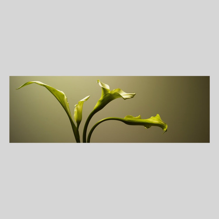 IGREBOW ���顼�β֡�[���å� 1��3] ��������ܥ� ����ƥꥢ�ե��� �ԥ����㡼������ �̿�