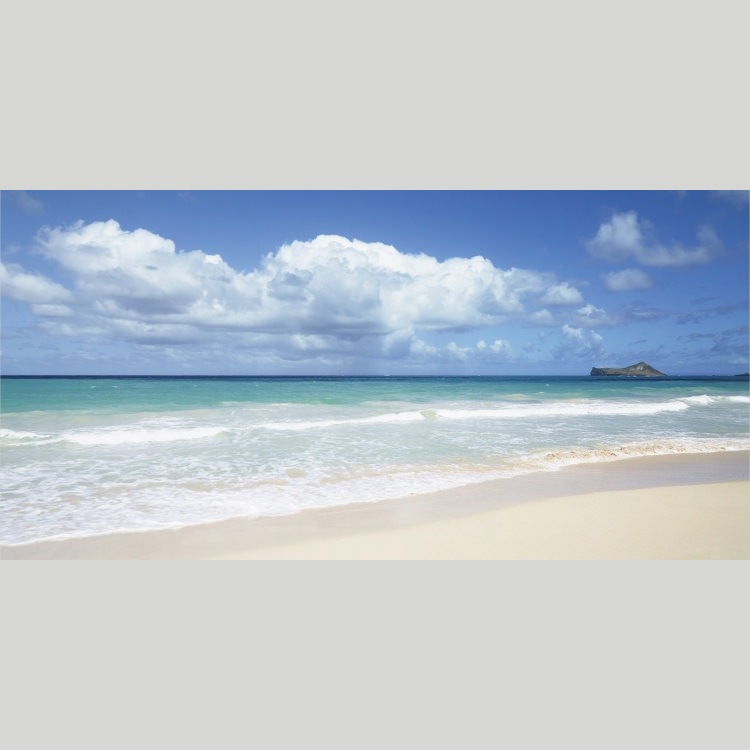 IGREBOW �ϥ磻 �磻�ޥʥ��٥��ӡ��� ���ͤ��Ĥ����ȳ���[���å� 1��2] ��������ܥ� ����ƥꥢ�ե��� �ԥ����㡼������ �̿�