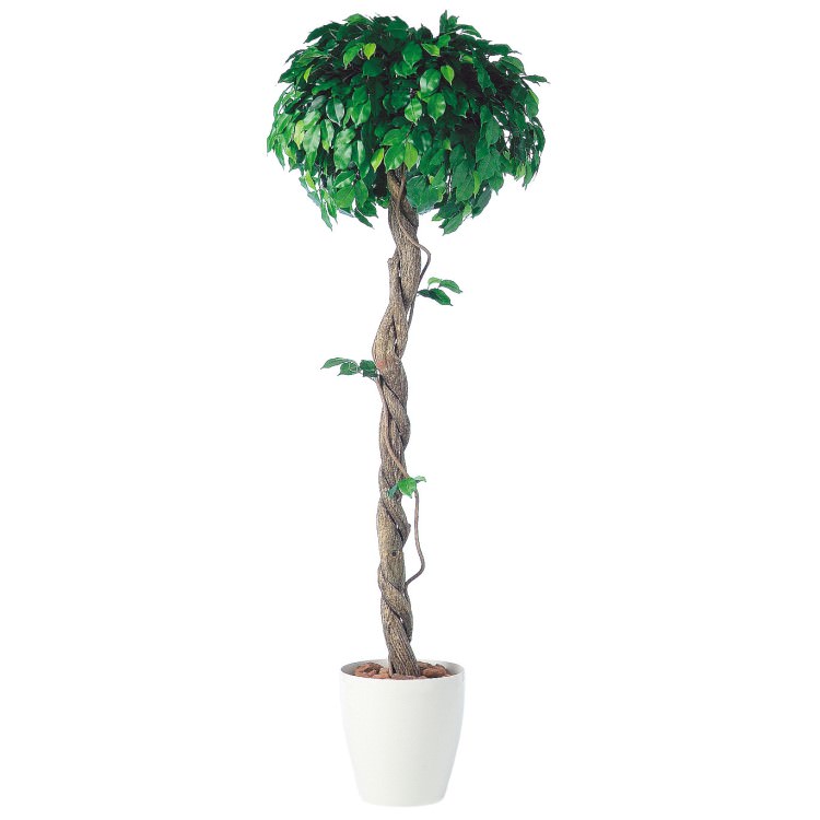 �ե��å����٥󥸥�ߥʥ��󥰥� W60��H150cm��TK91240 �����ƥ��ե�����륰�꡼�� �͹����տ�ʪ �͹����� ȭ�դ����꡼��