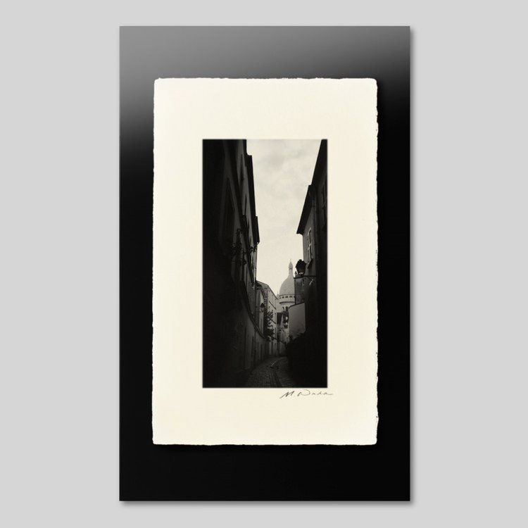 IGREBOW �ե�� �ѥ� ��ƻ�α��˥����쥯���������[�»� 1��2] ��������ܥ� ����ƥꥢ�ե��� �ԥ����㡼������ �̿�