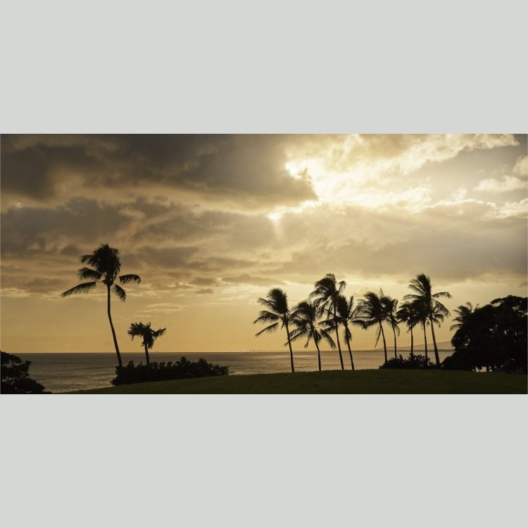 IGREBOW ϥ磻  ͼγȥ䥷ڡ[ 12] ܥ ƥꥢե ԥ㡼 ̿