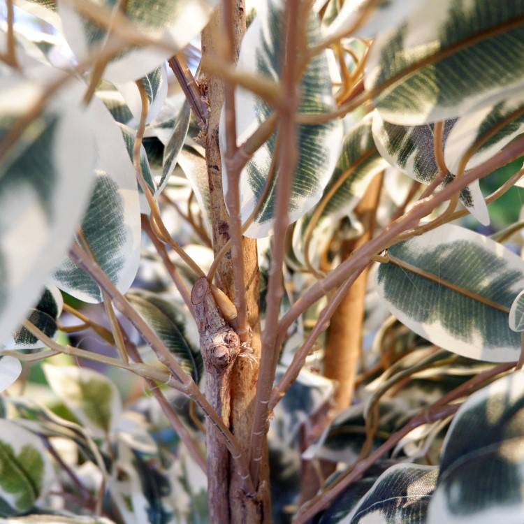 ٥󥸥ߥեϥ磻 180cmGLP-1310 ƥե륰꡼ ͹տʪ ꡼