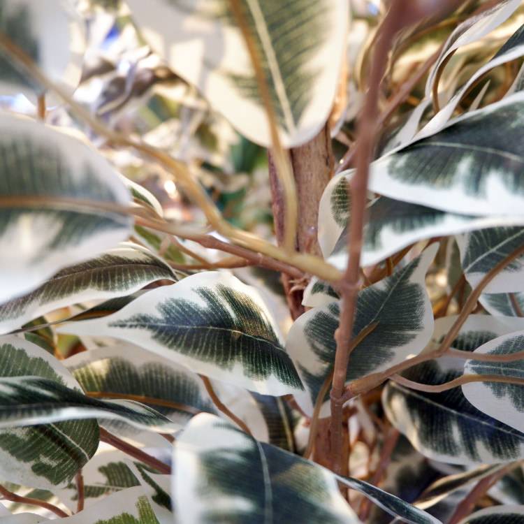 ٥󥸥ߥեϥ磻 180cmGLP-1310 ƥե륰꡼ ͹տʪ ꡼