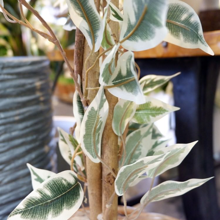 ٥󥸥ߥեϥ磻 180cmGLP-1310 ƥե륰꡼ ͹տʪ ꡼