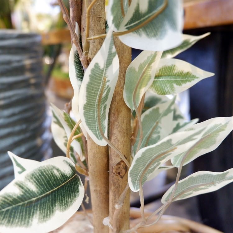 ٥󥸥ߥեϥ磻 180cmGLP-1310 ƥե륰꡼ ͹տʪ ꡼