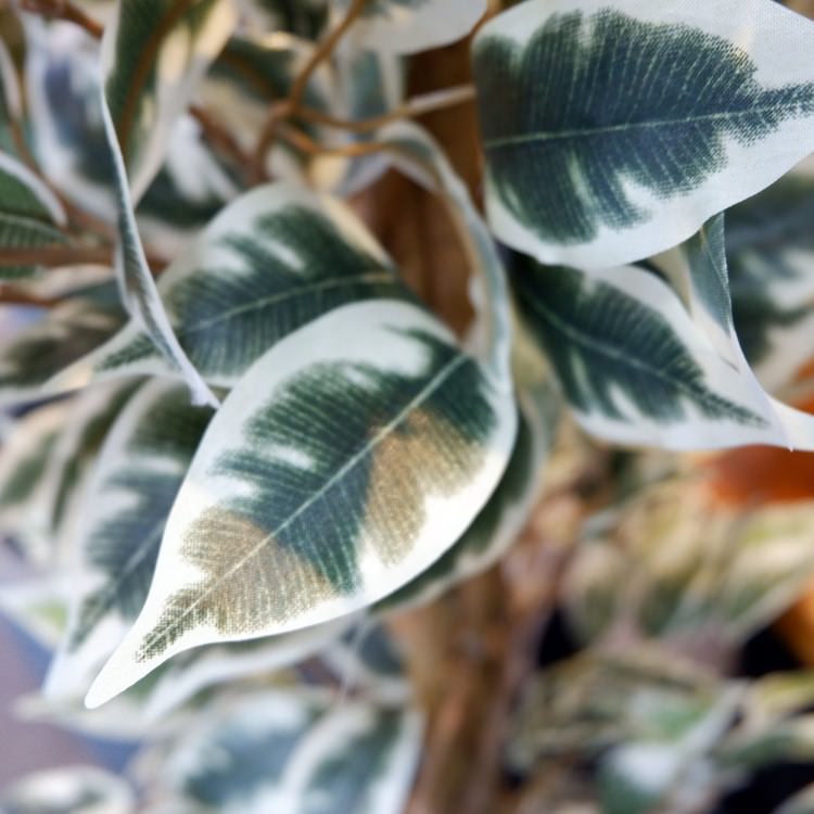 ٥󥸥ߥեϥ磻 180cmGLP-1310 ƥե륰꡼ ͹տʪ ꡼