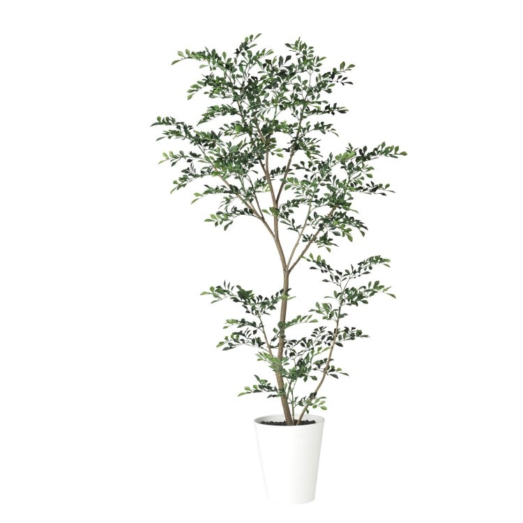 �ȥͥꥳ FST W80��H180cm��TK91888 �����ƥ��ե�����륰�꡼�� �͹����տ�ʪ �͹����� ȭ�դ����꡼��