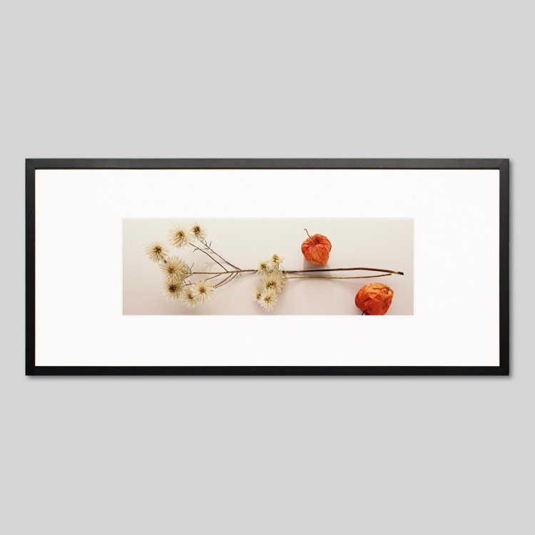 IGREBOW �ɥ饤�ե��Ȥۤ�������[���å� 1��3] ��������ܥ� ����ƥꥢ�ե��� �ԥ����㡼������ �̿�