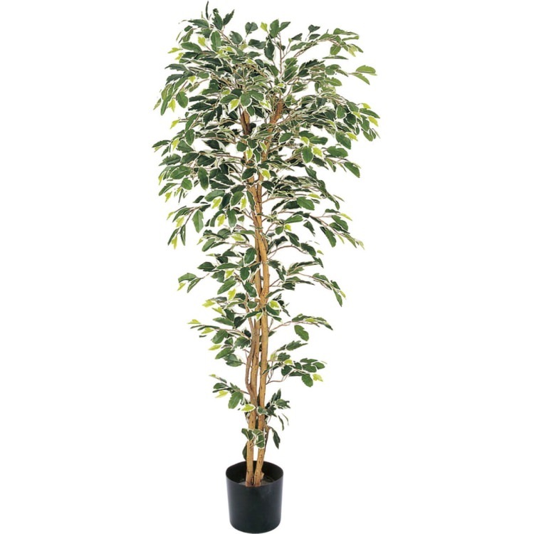 �٥󥸥�ߥ�ե������ϥ磻���� 150cm��GLP-1320 �����ƥ��ե�����륰�꡼�� �͹����տ�ʪ ���꡼��