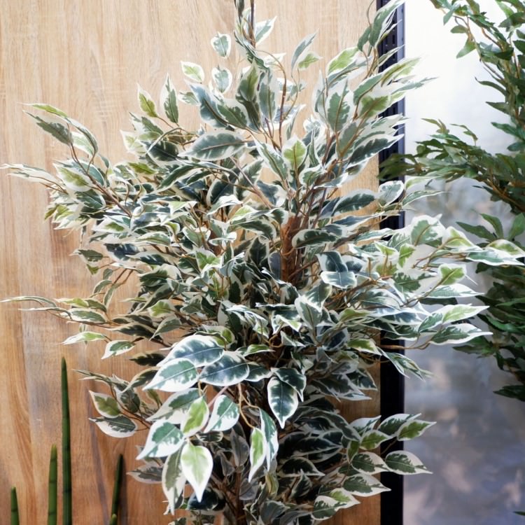 �٥󥸥�ߥ�ե������ϥ磻���� 150cm��GLP-1320 �����ƥ��ե�����륰�꡼�� �͹����տ�ʪ ���꡼��