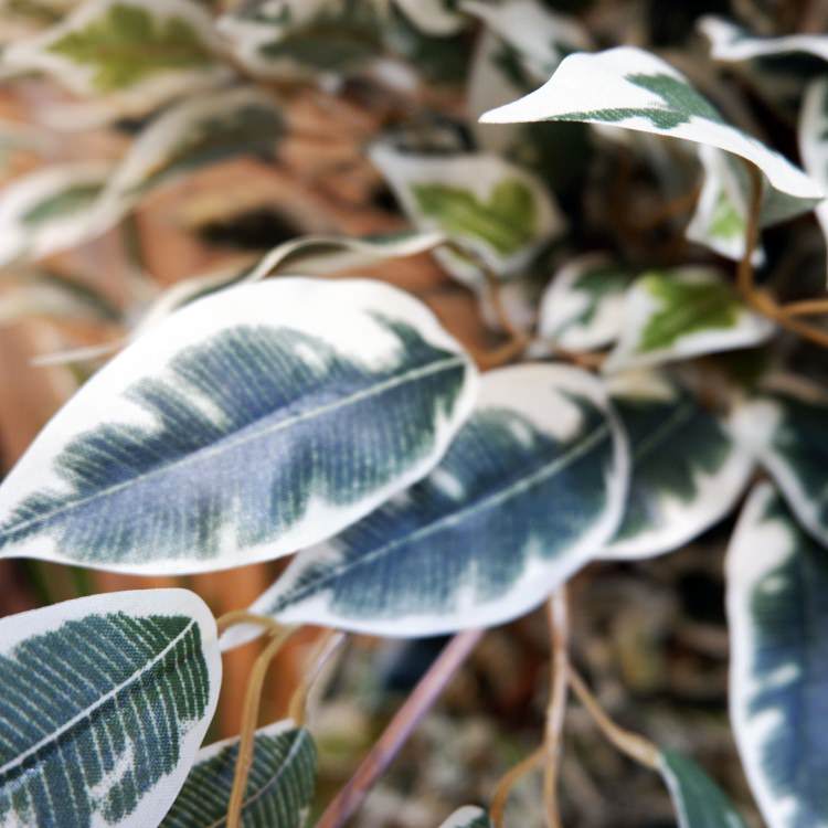 �٥󥸥�ߥ�ե������ϥ磻���� 150cm��GLP-1320 �����ƥ��ե�����륰�꡼�� �͹����տ�ʪ ���꡼��