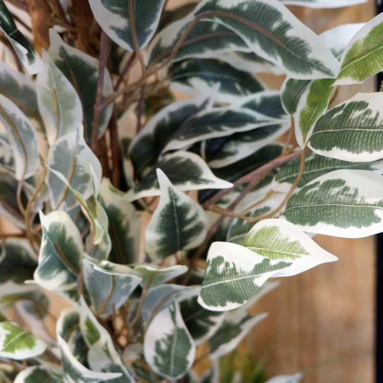 �٥󥸥�ߥ�ե������ϥ磻���� 150cm��GLP-1320 �����ƥ��ե�����륰�꡼�� �͹����տ�ʪ ���꡼��