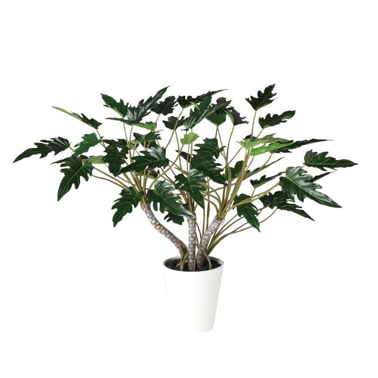 ���å��Х� DX W90��H70cm��TK91890 �����ƥ��ե�����륰�꡼�� �͹����տ�ʪ �͹����� ȭ�դ����꡼��