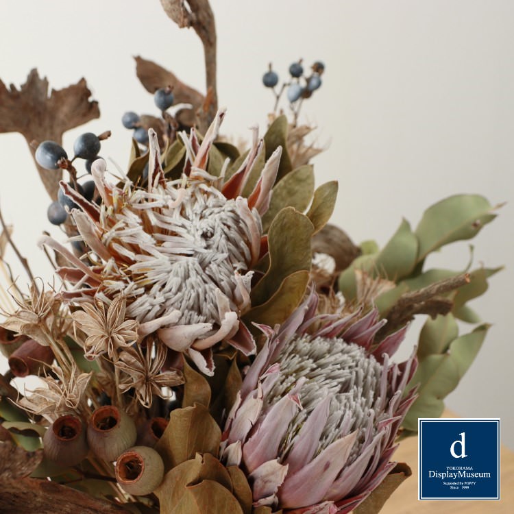 �ե�����󥸥��� H71cm W50cm D38cm�ò��ͥǥ����ץ쥤�ߥ塼������ FBCD-3035 �����ƥ��ե������ե� �ե�����󥸥��� ¤�� �١����դ�