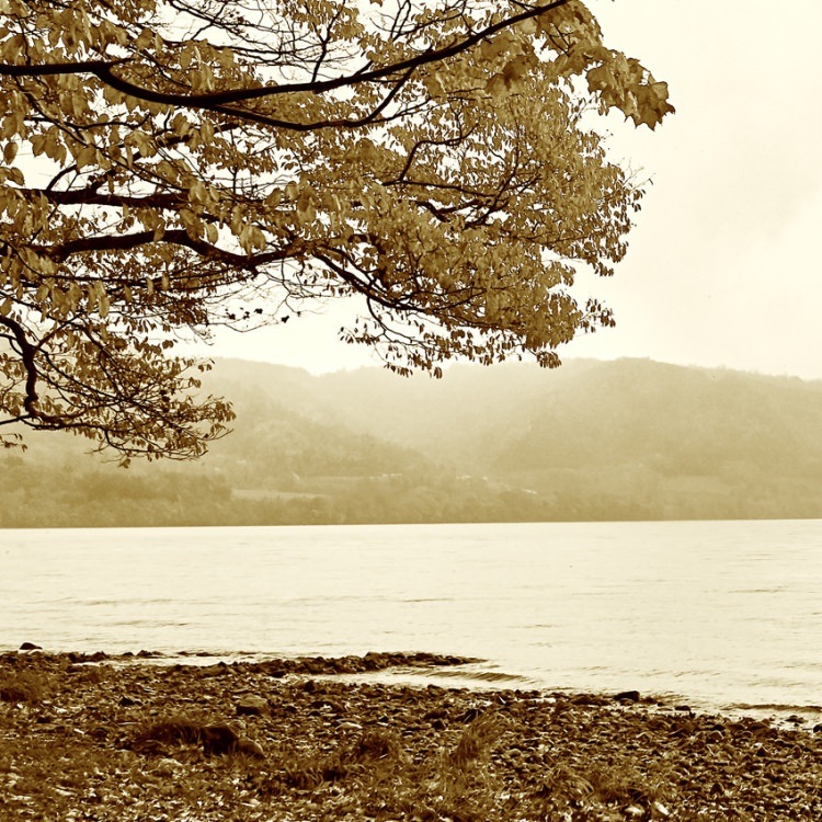 IGREBOW ̳ƻƶʡ[» 13] ܥ ƥꥢե ԥ㡼 ̿