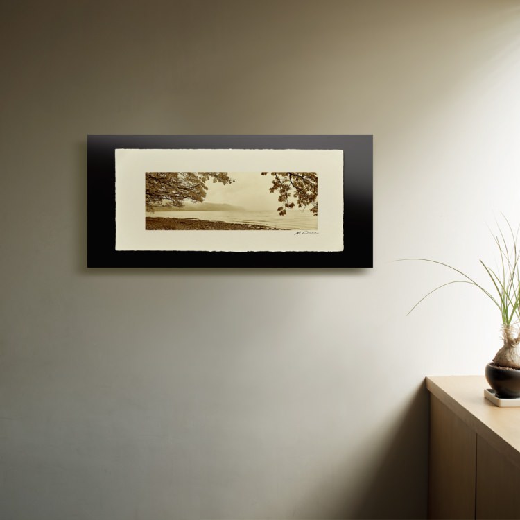 IGREBOW ̳ƻƶʡ[» 13] ܥ ƥꥢե ԥ㡼 ̿