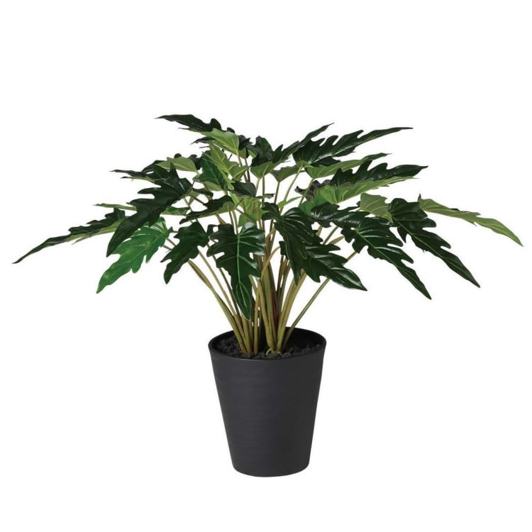 ���å��Х� W70��H50cm��TK91891 �����ƥ��ե�����륰�꡼�� �͹����տ�ʪ �͹����� ȭ�դ����꡼��