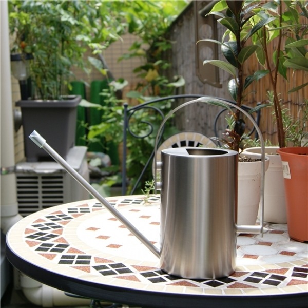 [����] ZACK 22182 FLOREA ����������󥰥���(���祦��)