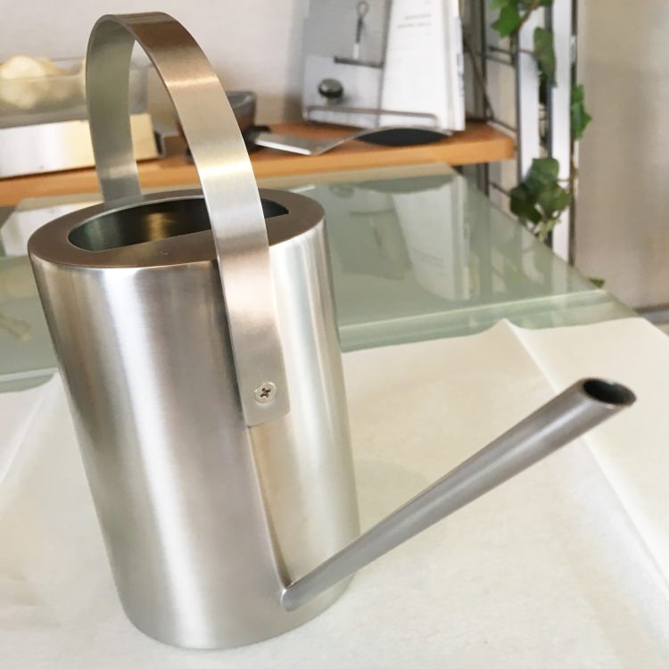 [����] ZACK 22182 FLOREA ����������󥰥���(���祦��)