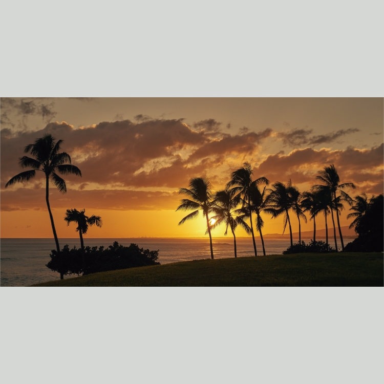 IGREBOW ϥ磻  ͼޤ볤ȥ䥷ڡ[ 12] ܥ ƥꥢե ԥ㡼 ̿