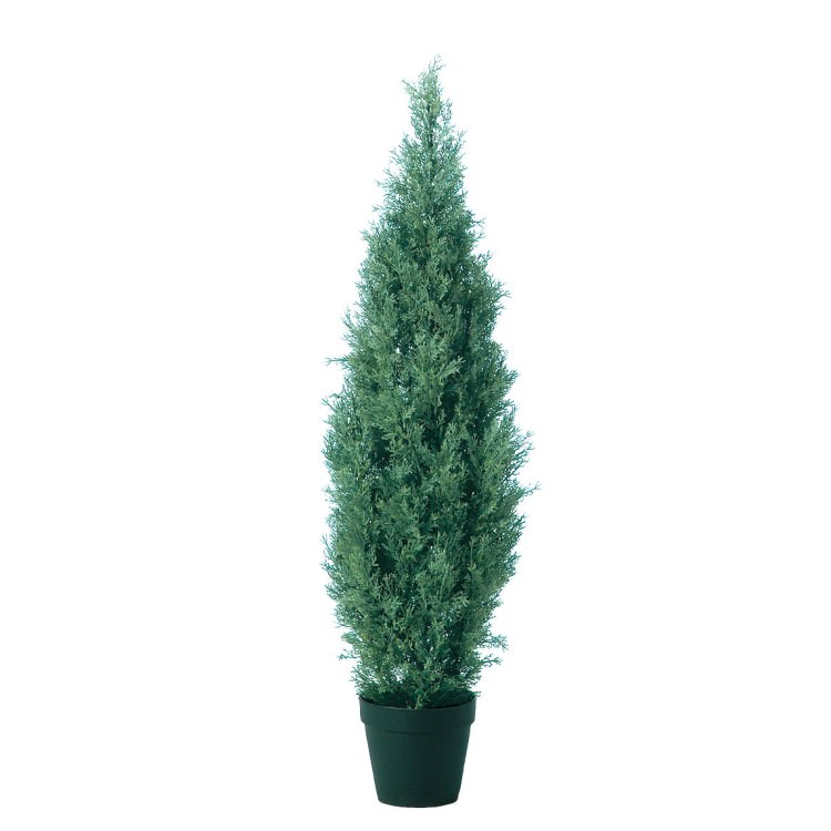 ֥롼󥸥 W35H125cmTK92371 ƥե륰꡼ ͹տʪ ͹ ȭդ꡼