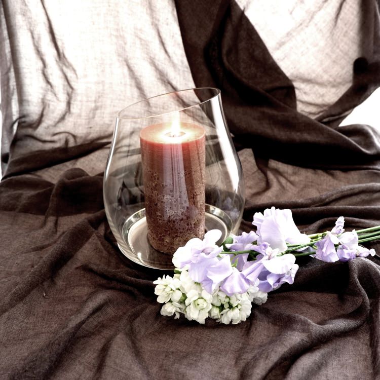 [����] ZACK 40704 PERA �ɥ���ZACK���������ǥ�����Υ�����ɥ饤��