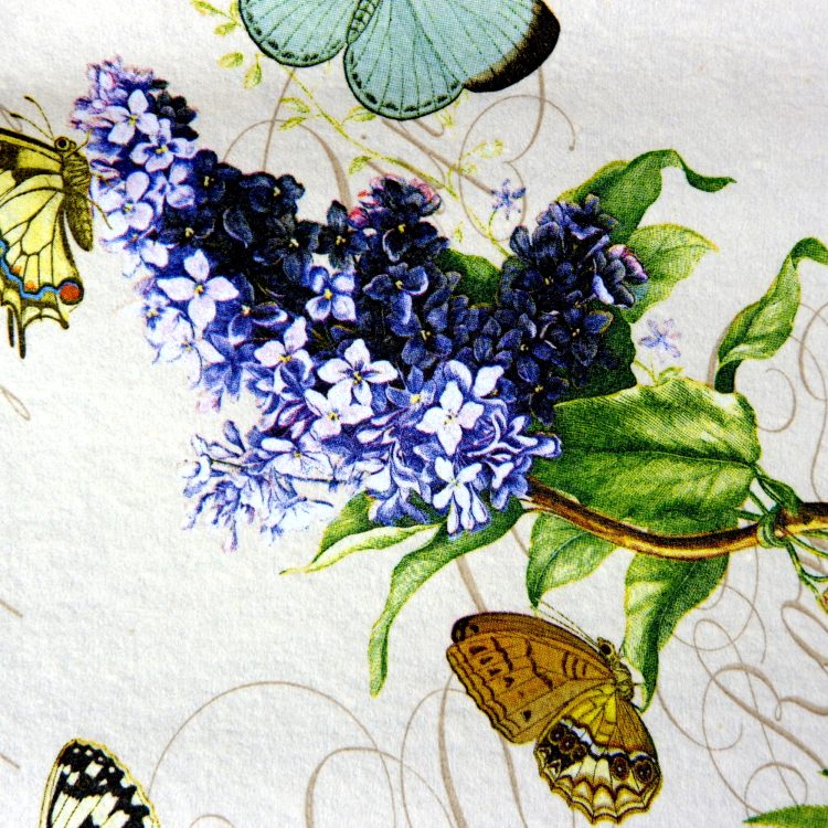 󥿡ơ֥륯80x80cm PAPER+DESIGN ե ܥ꡼ߥ֥롼 PD91142