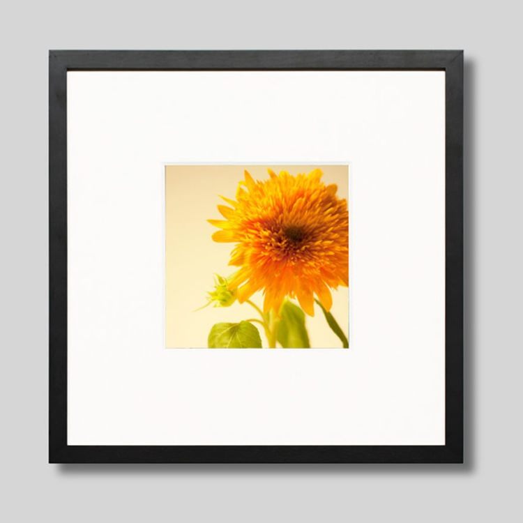 IGREBOW Ҥޤβ֡[å 11] ܥ ƥꥢե ԥ㡼 ̿