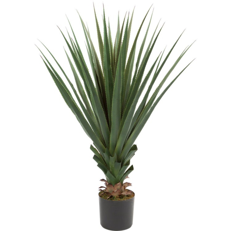 ������ 125cm��GLP-1465 �����ƥ��ե�����륰�꡼�� �͹����տ�ʪ ���꡼��