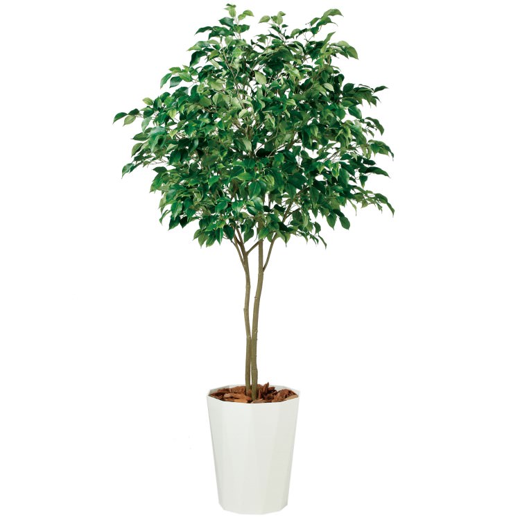 ٥󥸥ߥ 磻 FST W110H200cmTK99120 ƥե륰꡼ ͹տʪ ͹ ȭդ꡼