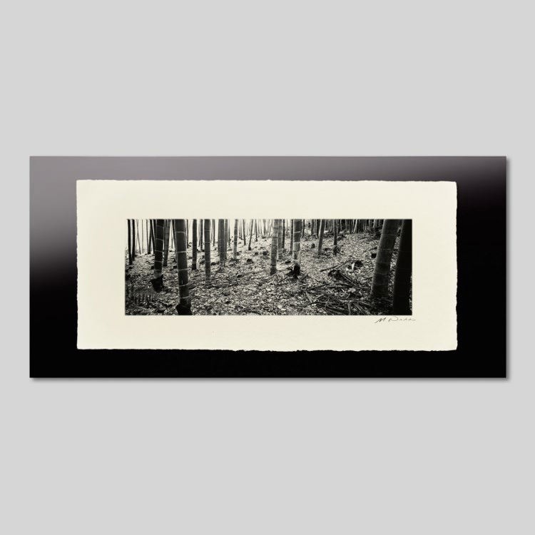 IGREBOW ���� ����������ӡ�[�»� 1��3] ��������ܥ� ����ƥꥢ�ե��� �ԥ����㡼������ �̿�