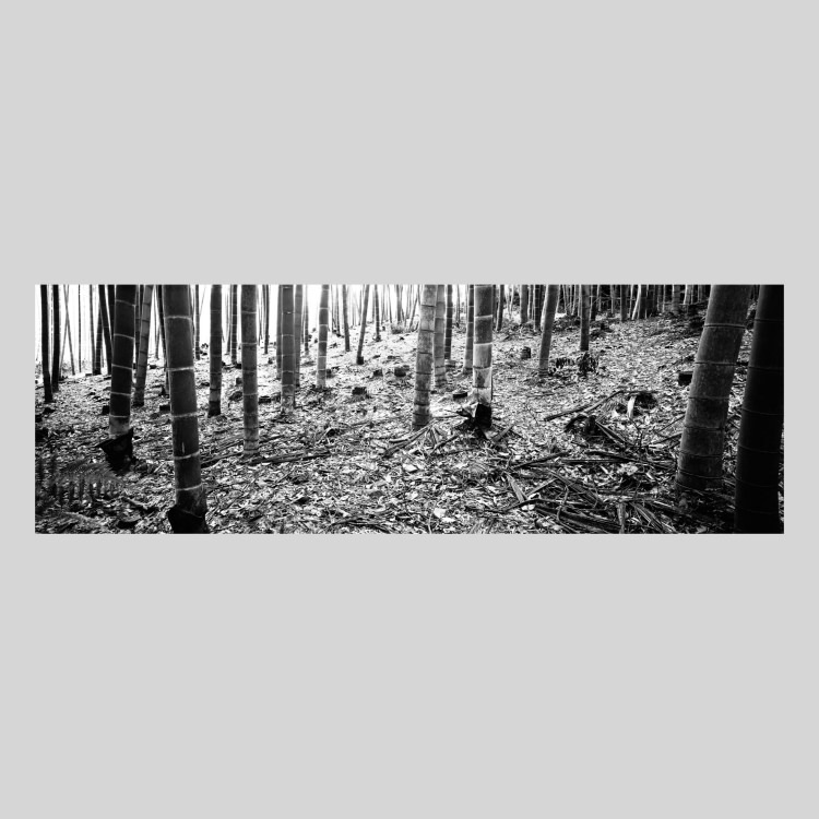 IGREBOW ���� ����������ӡ�[�»� 1��3] ��������ܥ� ����ƥꥢ�ե��� �ԥ����㡼������ �̿�