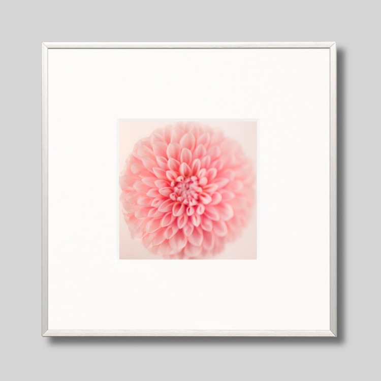 IGREBOW ֤μ̿ ԥ󥯤Υꥢ[ 11] ܥ ƥꥢե ԥ㡼 ̿