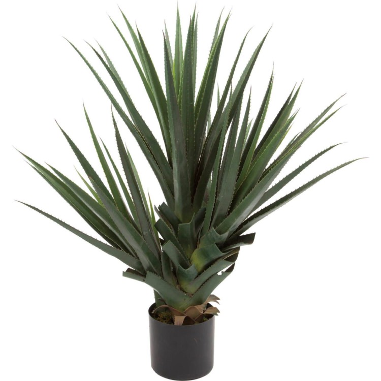 ������ 95cm��GLP-1466 �����ƥ��ե�����륰�꡼�� �͹����տ�ʪ ���꡼��