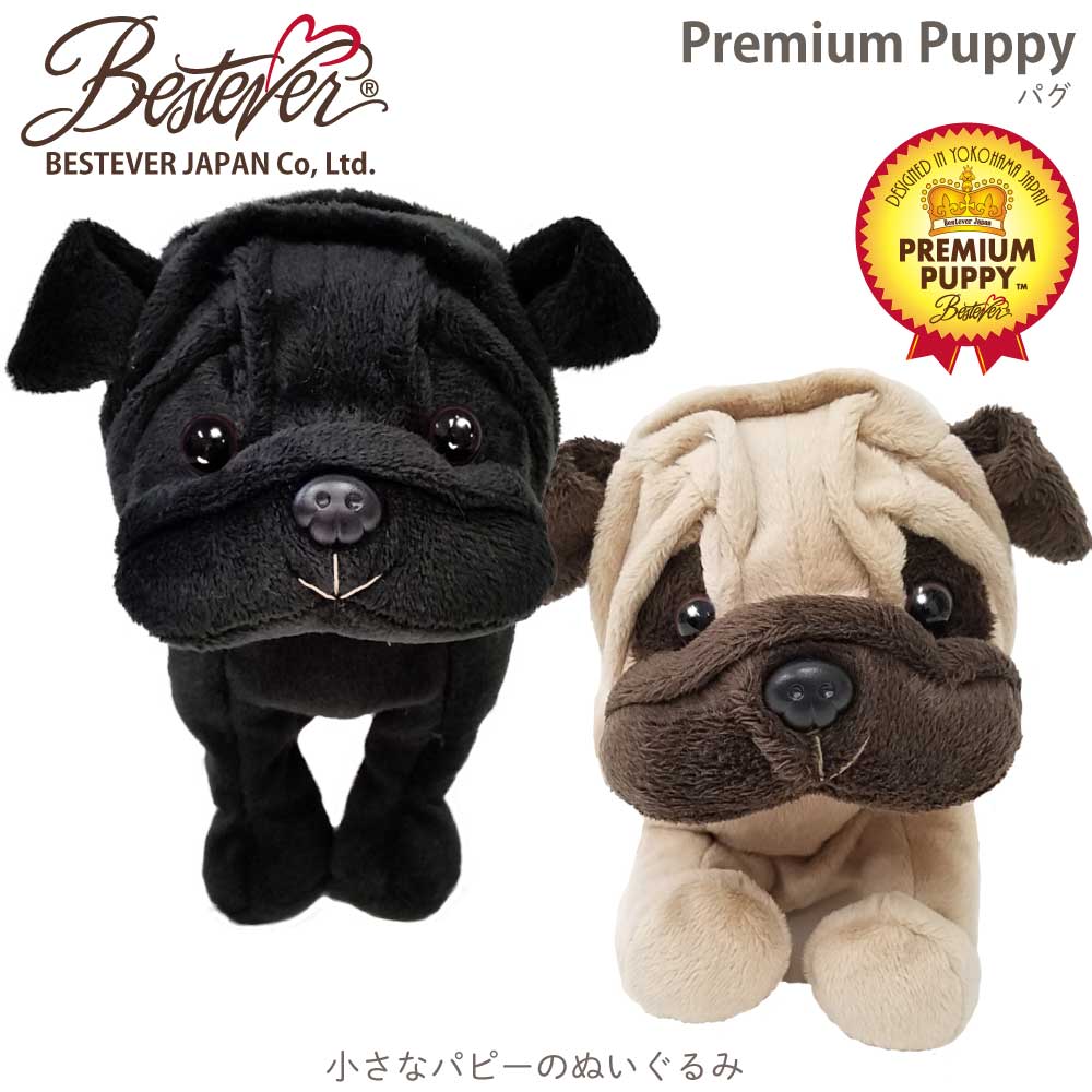 BESTEVER JAPAN - 株式会社ベストエバージャパン ｜ 小売店様・問屋様