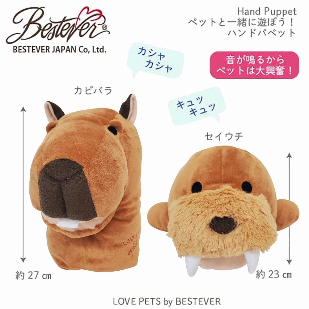 BESTEVER JAPAN - 株式会社ベストエバージャパン ｜ 小売店様・問屋様
