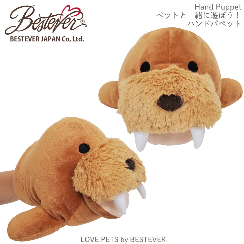 BESTEVER JAPAN - 株式会社ベストエバージャパン ｜ 小売店様・問屋様