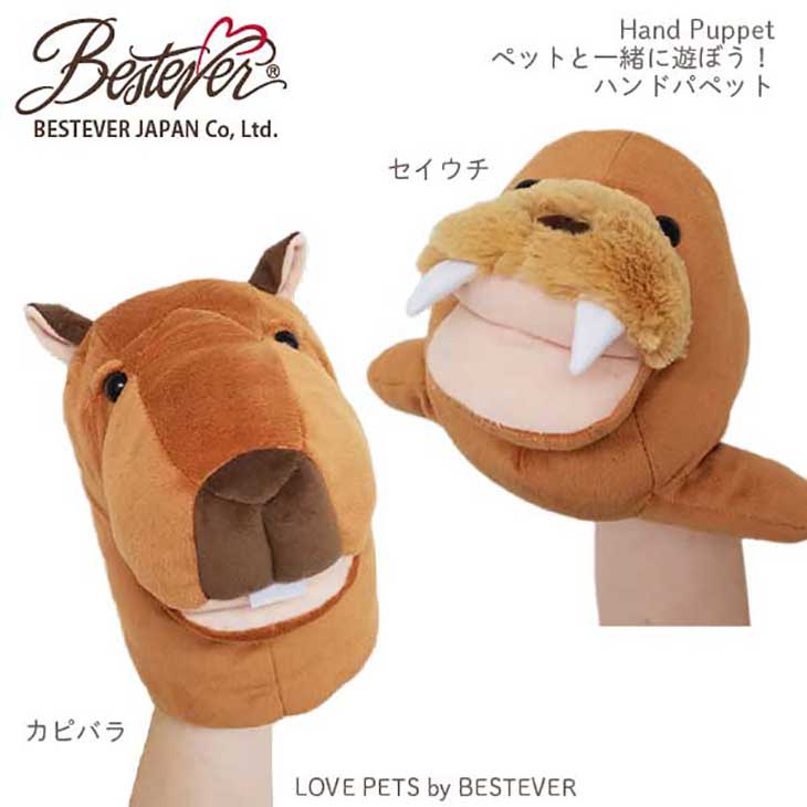 BESTEVER JAPAN - 株式会社ベストエバージャパン ｜ 小売店様・問屋様