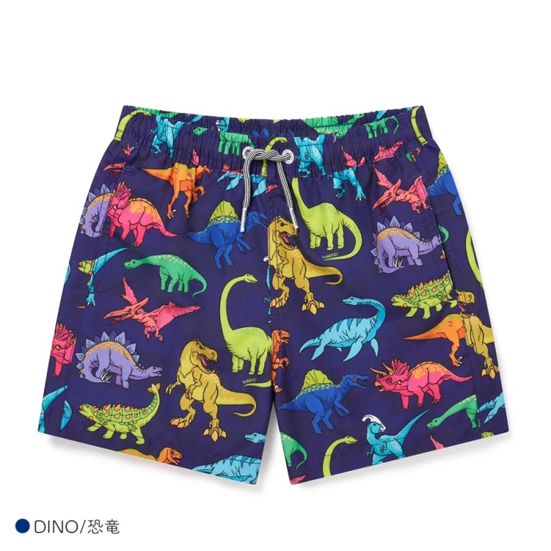 Boardies ボーディーズ KIDS VIBRANT DINO ROBOTS TIE DYE 水着 短パン