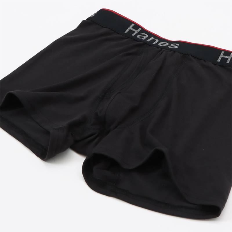 ボクサーパンツ アンダーウェア メンズ COMFORT FLEX FIT トータルサポートポーチ ショートボクサーブリーフ ヘインズ HANES (HM6EW103) 【国内正規品】