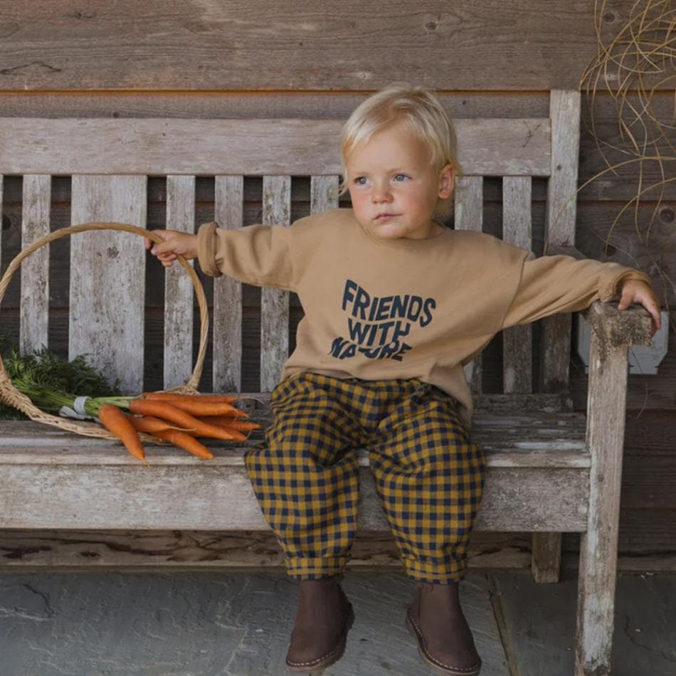 パンツ キッズ ベビー オーガニックズー Organic Zoo Blueberry Gingham Carrot Pants【国内正規品】 15BBGHCP