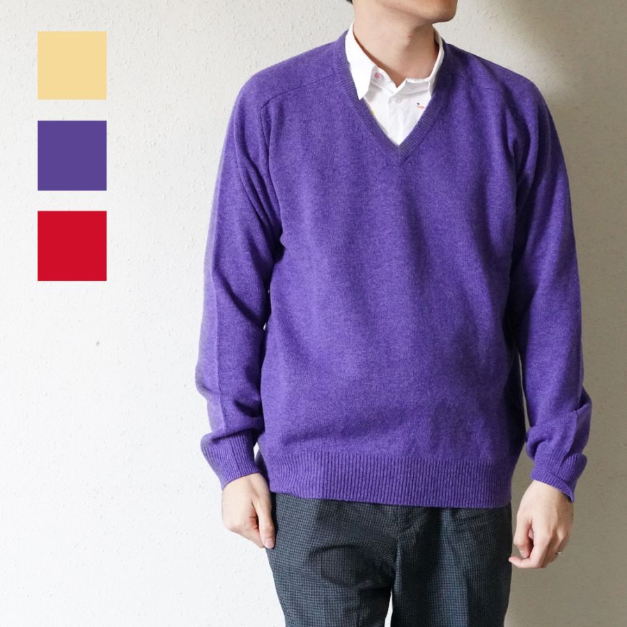 ニット Vネック セーター Alan Paine