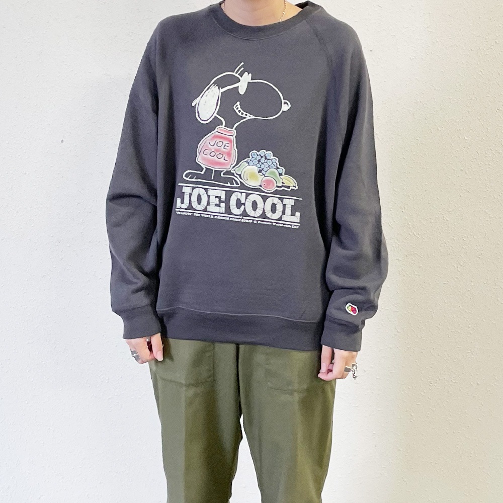 1/1からSALE対象予定商品】トレーナー フルーツオブザルーム