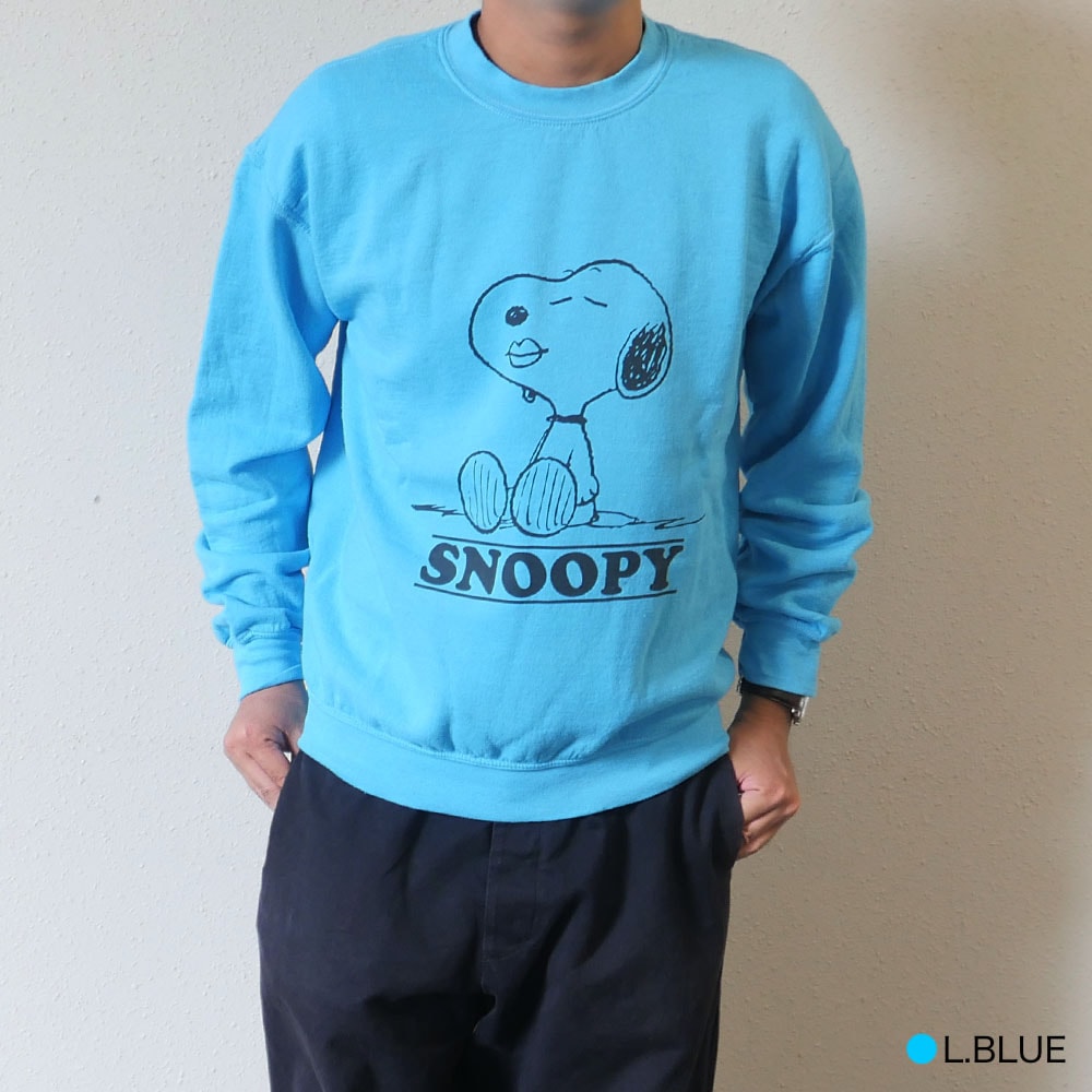 希少❗️Peanuts Linus ライナス スヌーピー スウェット 水色L 希少❗️Peanuts Linus ライナス スヌーピー スウェット 水色L - メルカリ