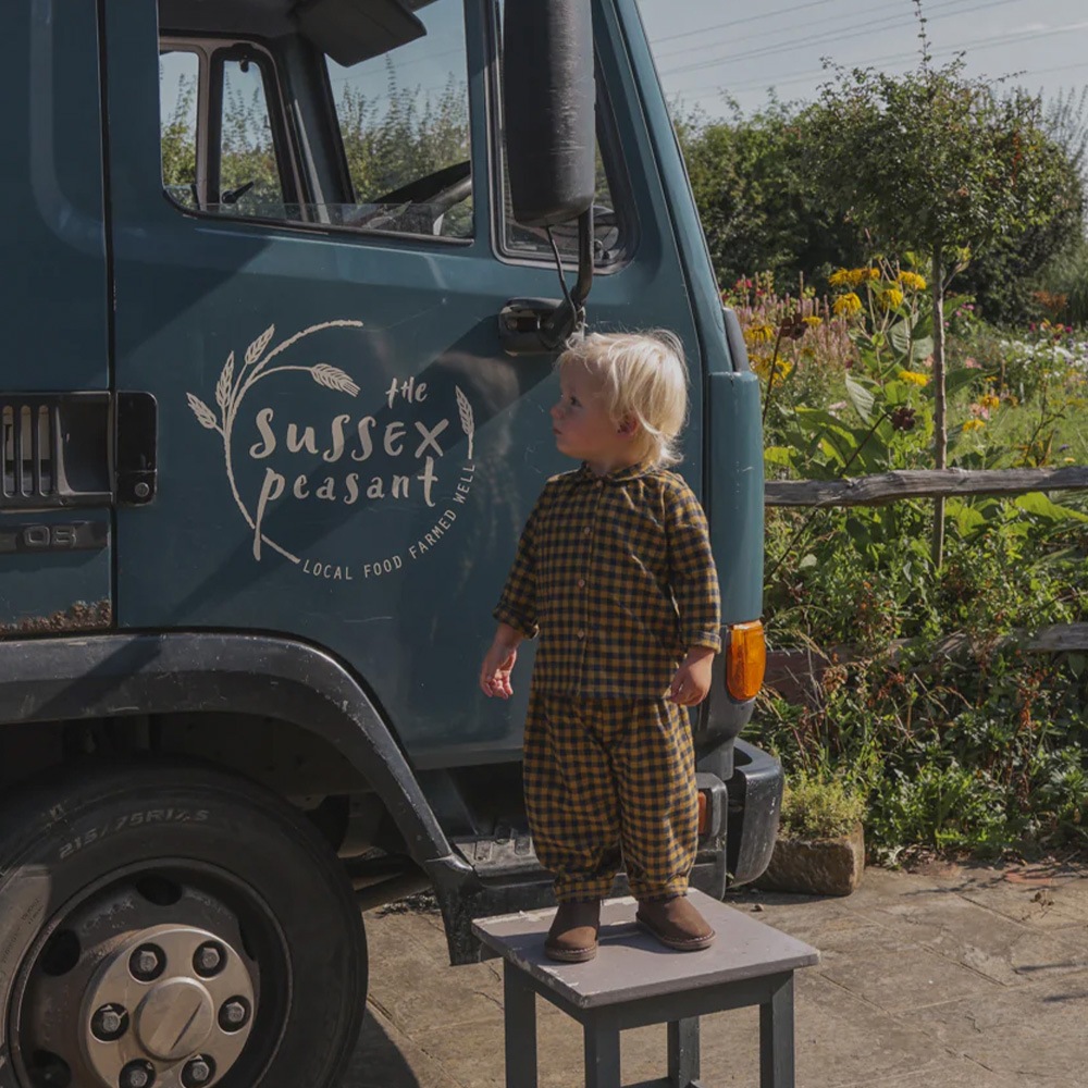 シャツ ブラウス ギンガムチェック キッズ オーガニックズー Organic Zoo Blueberry Gingham Shirt 15BBGHS
