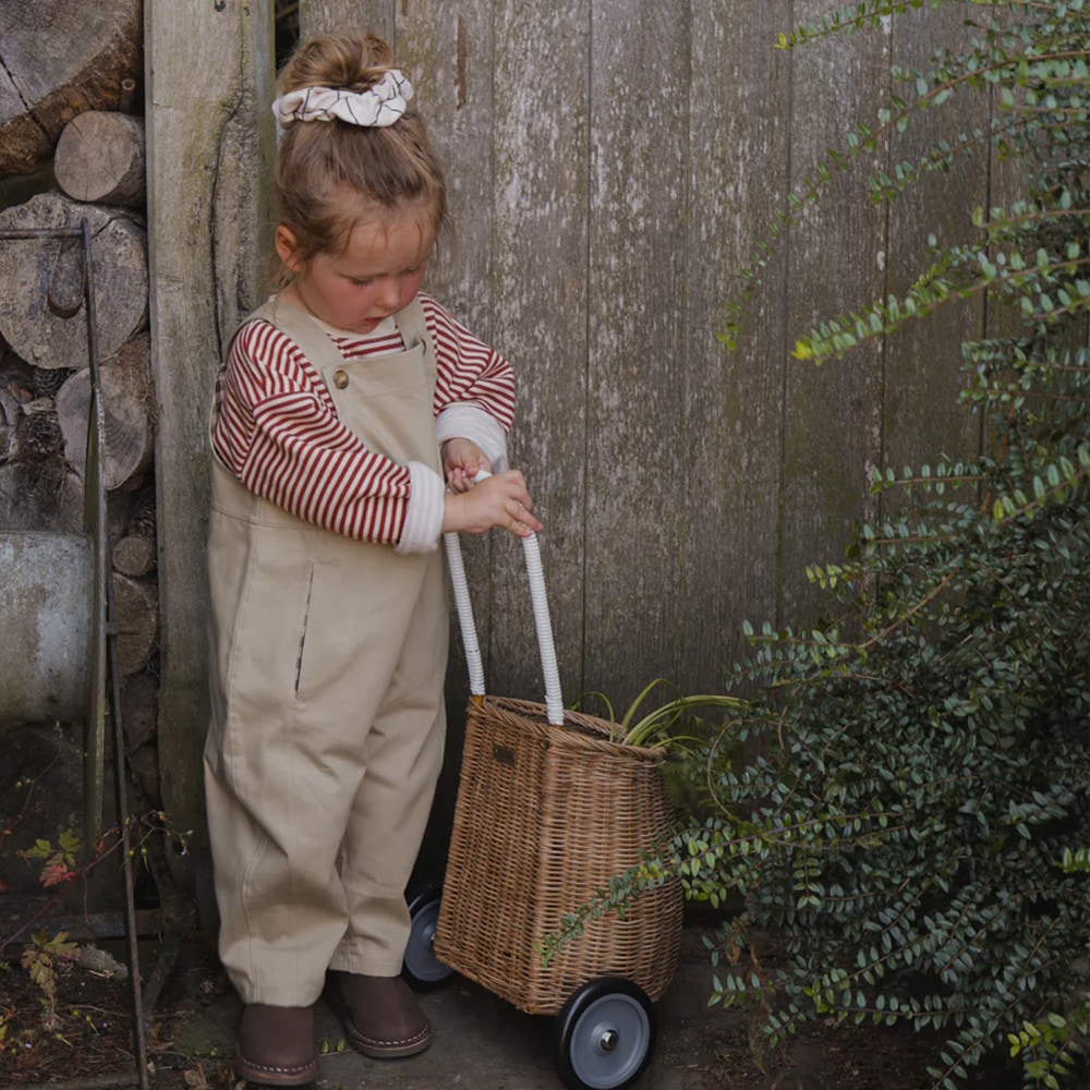 スウェット トレーナー キッズ ベビー オーガニックズー ストライプ
