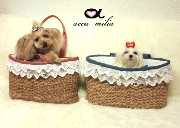 accu milia����������꡼�Хå� Btype