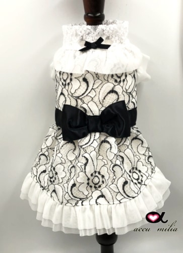 New���쥬��ȥ졼��������