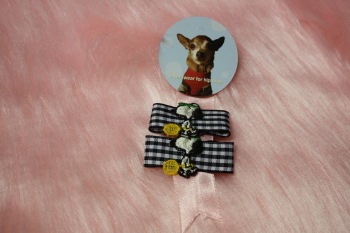 C-011 ���̡��ԡ��Х�å������󥬥�����å�