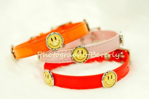 Chi wow wow���ʥ��ڡ���֥롼�����顼